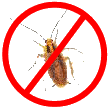 no_bugs